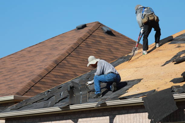 Best Roof Ventilation Installation  in Bellwood, IL
